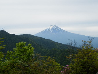 P6010892
