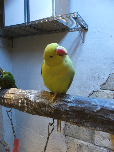DSCF2221