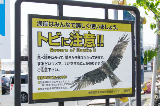 トンビに注意
