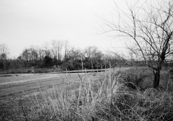 Summaron 35F3.5 F4