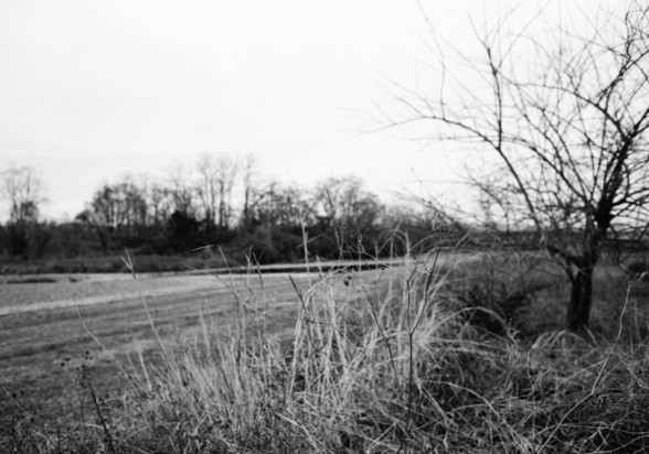 Summicron 35F2 F2.8