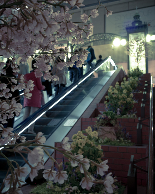 桜の造花
