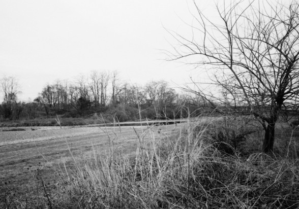 Summicron 35F2 F11