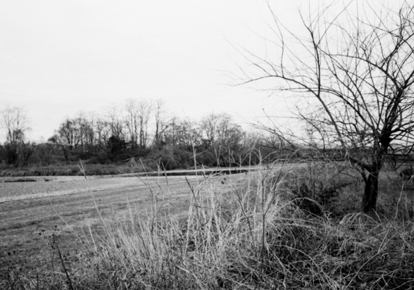 Summicron 35F2 F5.6