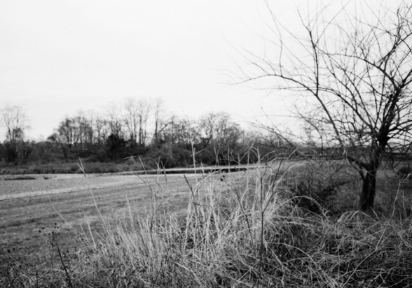 Summicron 35F2 F4