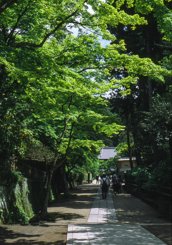 円覚寺