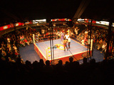 Arena Coliseo