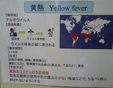 ��Ǯ�ޥ��å�