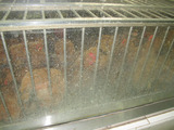 yutuy