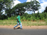 run babue