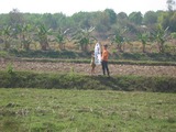 koryadaijyo-bu