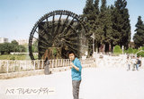 From HAMA