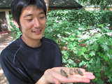 MUSHI