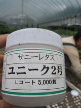 ̾�β�Ĥ˻��ô�˾