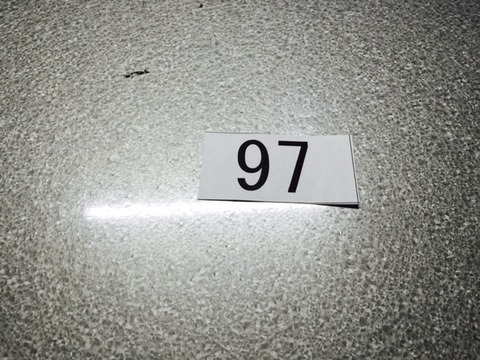 bingoday8 (4)
