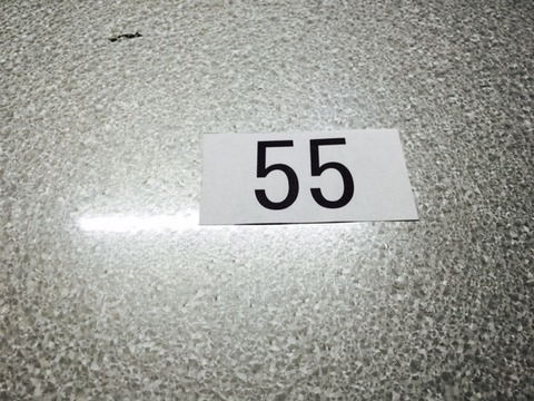 bingoday8 (3)