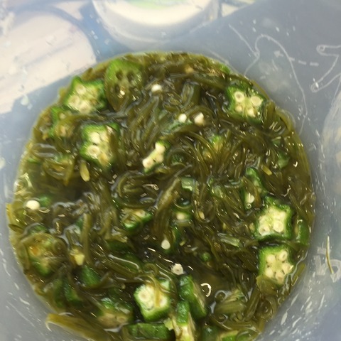 研修７