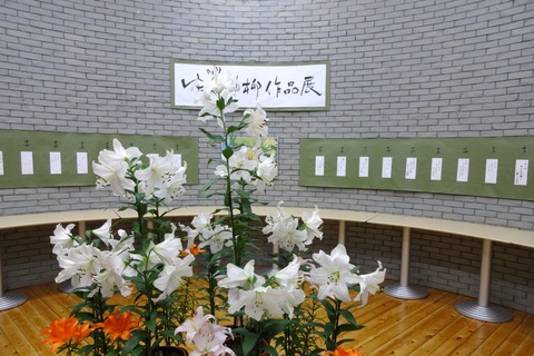 DSC08072