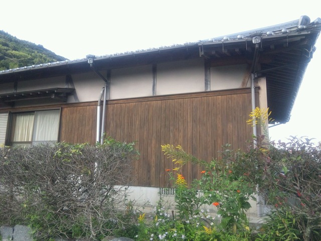 702823d9.jpg