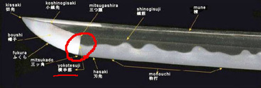 BlogPaint