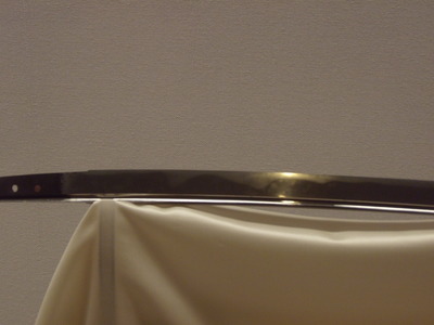 DSCN1666