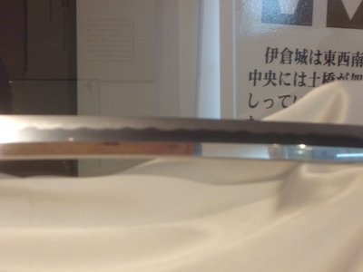 DSCN1681