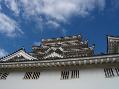 DSCN1558