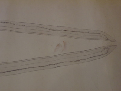 DSCN1310