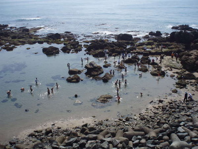 Y388072212