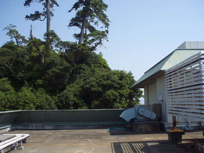 Y388072213