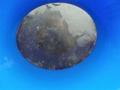 Y388072196
