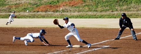 DSC_0740 (2)