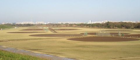 IMG_5207 (2)
