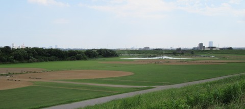 IMG_9909 (2)