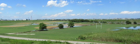 IMG_9872 (2)