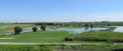 IMG_9842 (2)