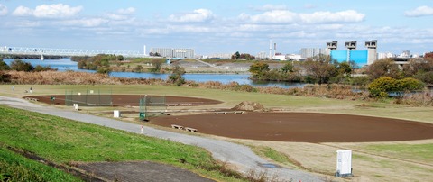 DSC_0393 (2)