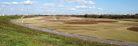 DSC_0388 (2)