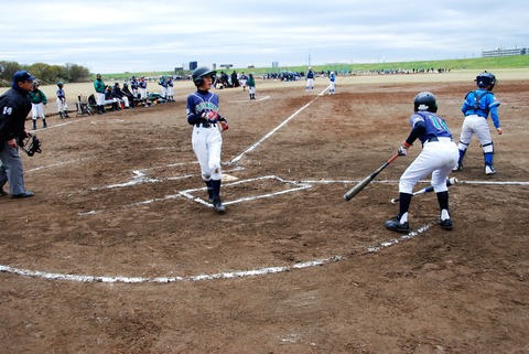 DSC_0202 (3)