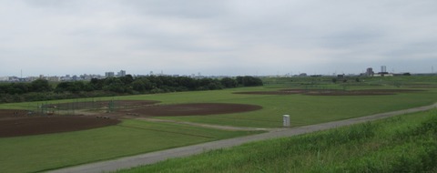 IMG_9552 (3)