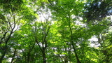IMGP0018