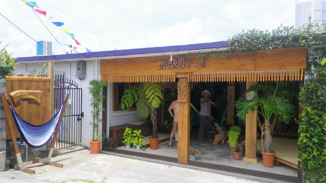 IMGP3904