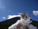 �ٻλ���sandy