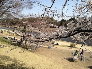 IMG_9962