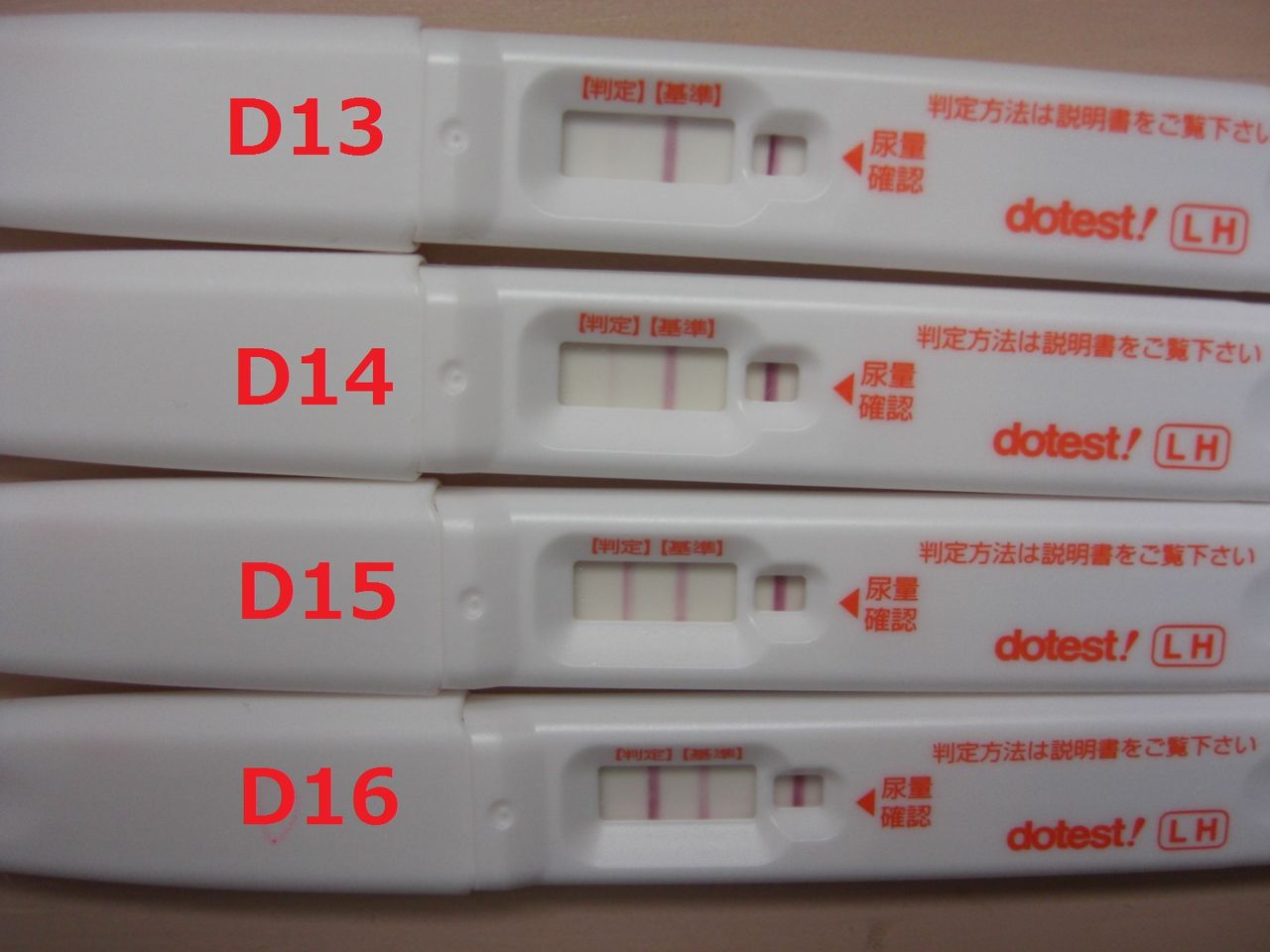 排卵検査薬lh)による排卵日の特定
