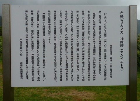 武四郎7