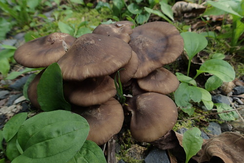 P9270257
