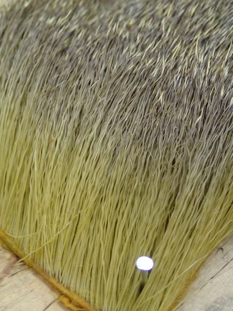 P1130005
