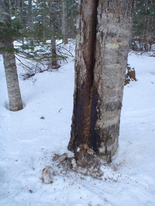 P3080050