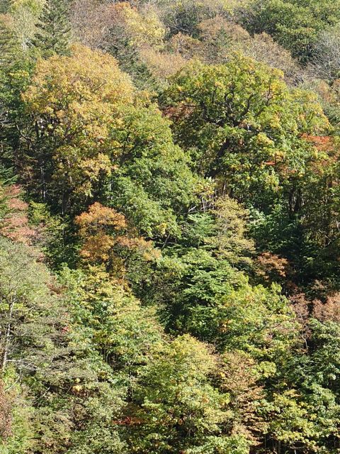 PA030076